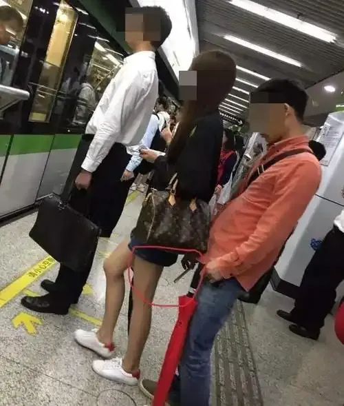 小鸟直播精彩瞬间截图二